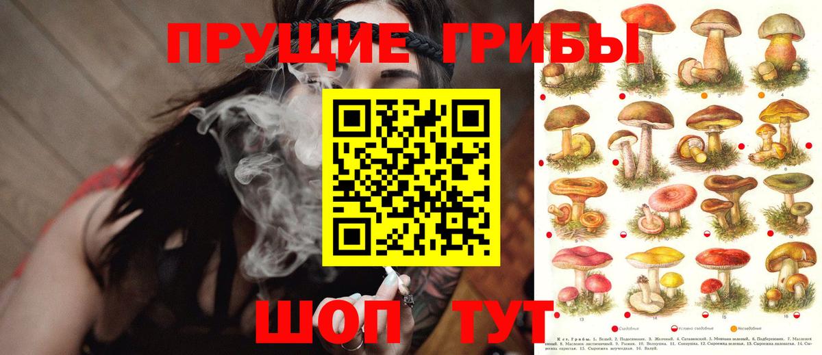 Дубна  Псилоцибиновые грибы Magic Shrooms  Вход с VPN 